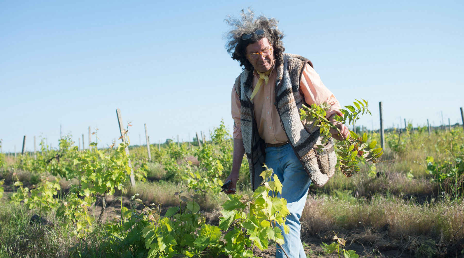 Christophe Lacarin. Le vin en dépit de tout