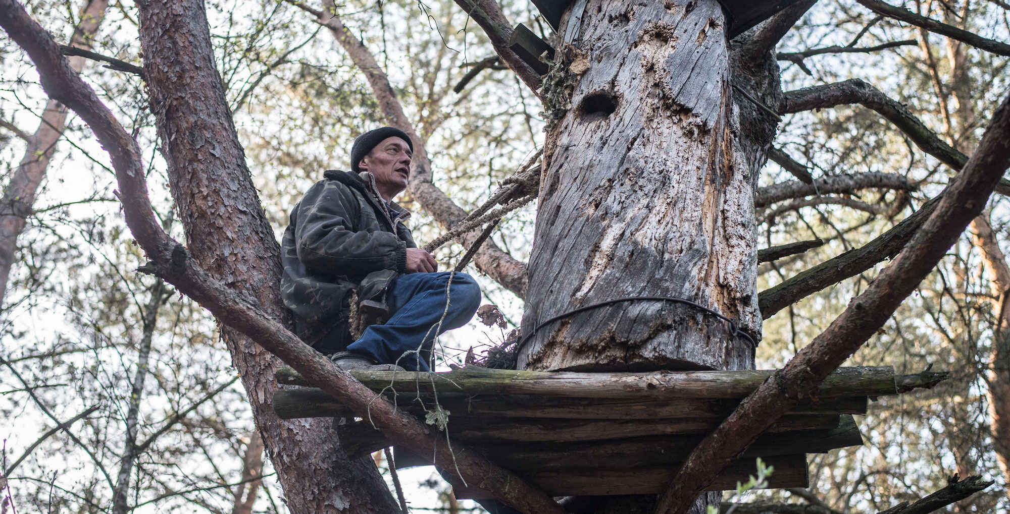 Wild-honey farmers of Polissia: People of the forest