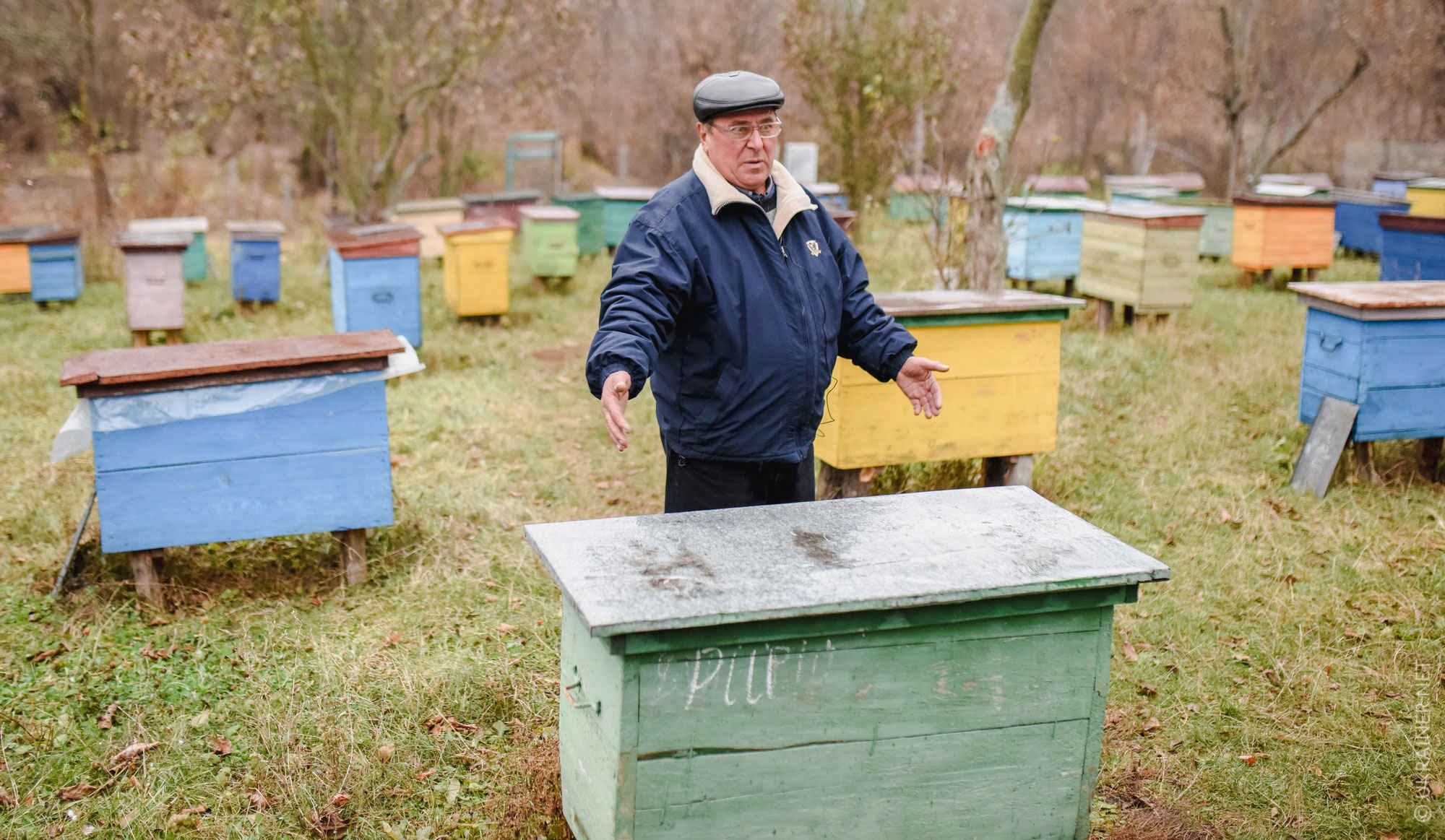 Bienenstöcke anstatt von Häusern