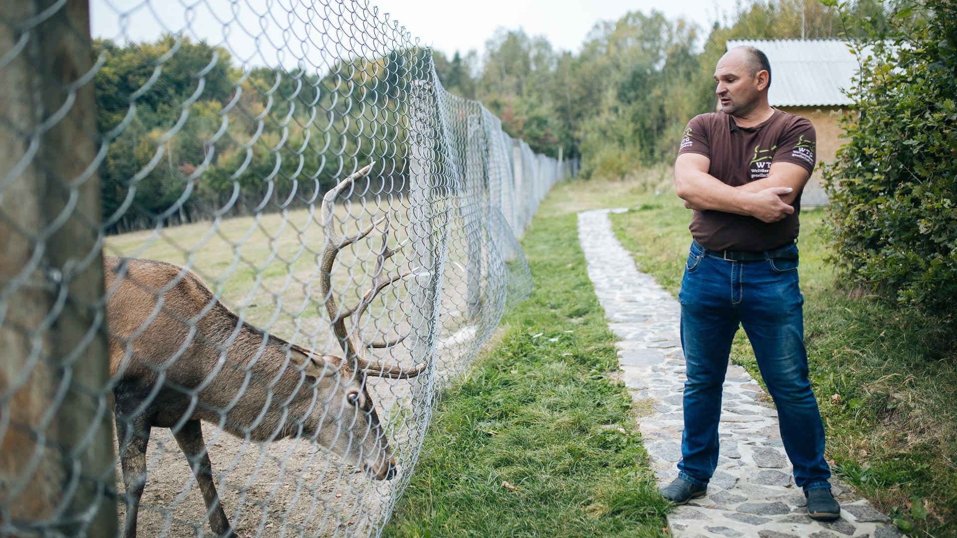 Галицький парк. З мисливця в охоронця природи