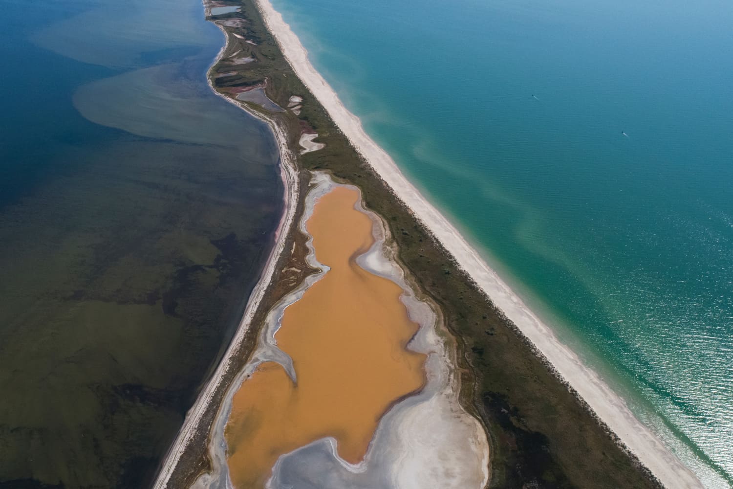 Tuzly Estuaries: Park against poachers