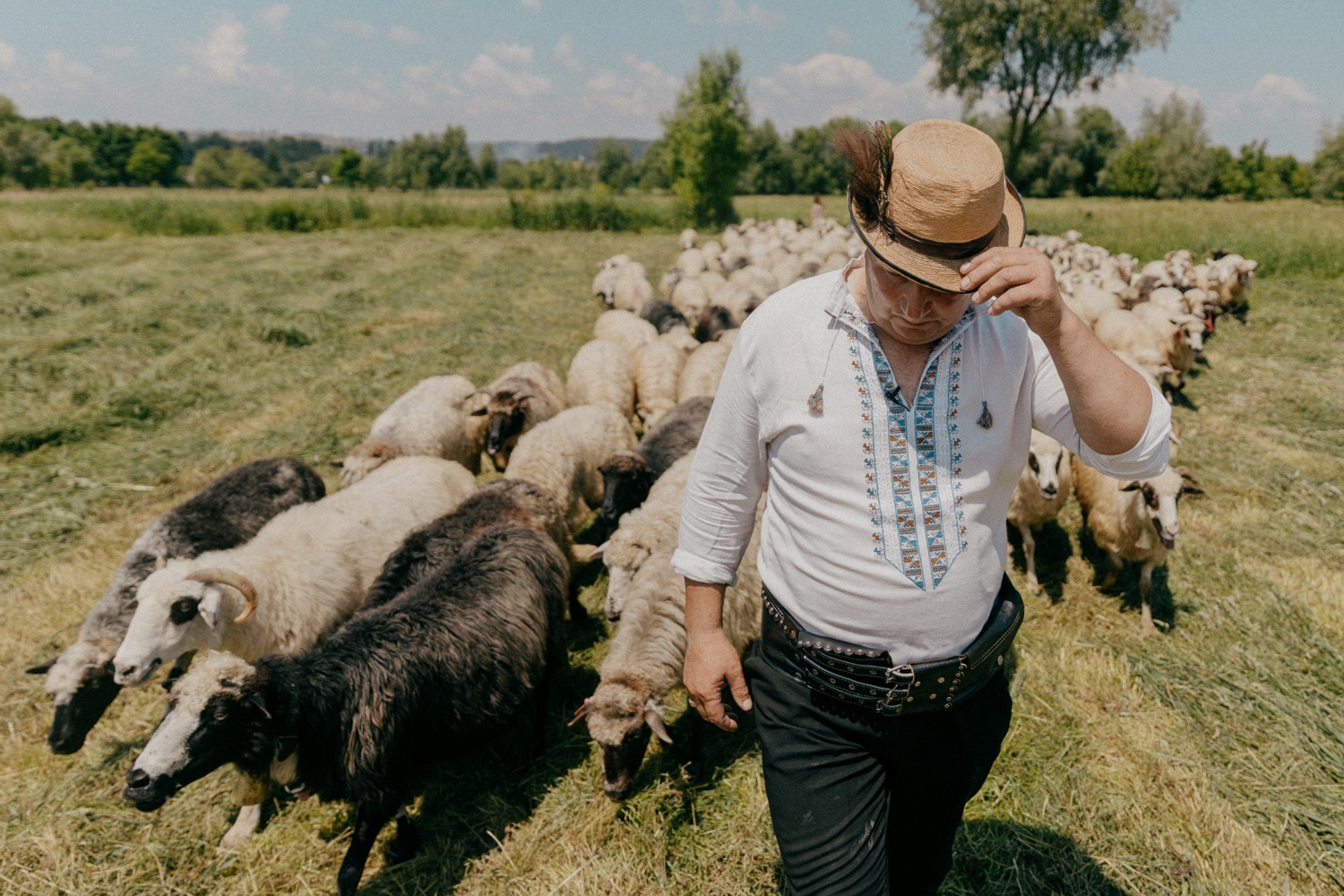 Румуни України. Хто вони?