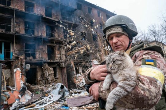 La guerra y los animales. Foto historia