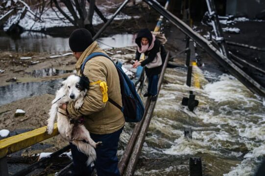 Jak Ukrajinci zachraňují zvířata v době války