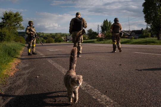 06/06 – 11/06. Como Ucrania se resiste contra la ocupación. Resumen en fotos №18