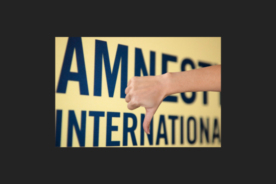 Amnesty International: Transparent und unabhängig? Eine OSINT-Analyse von Molfar