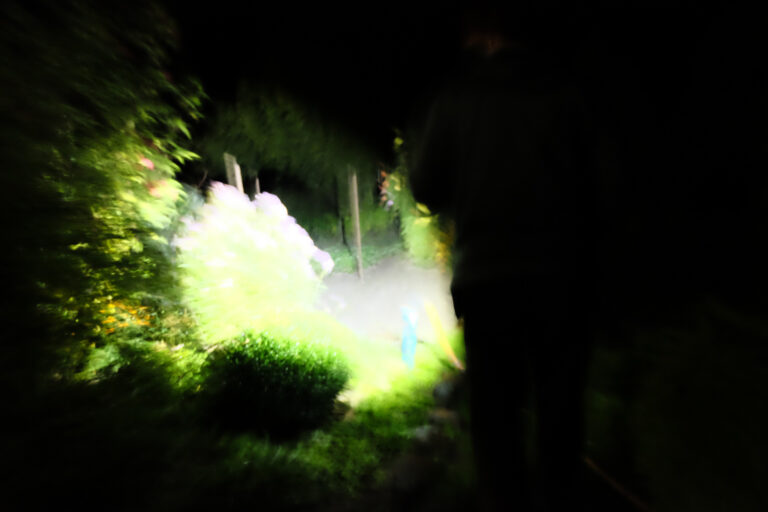 42