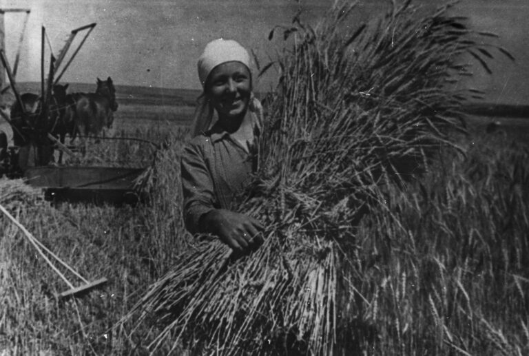 Campesina de la granja colectiva Komintern del distrito de Yampil, en la provincia de Vinnytsia, Savitska A. F. en el campo durante la cosecha de grano. Provincia de Vinnytsia, 1939.