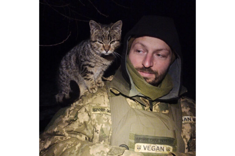 Фото з відкритих джерел.