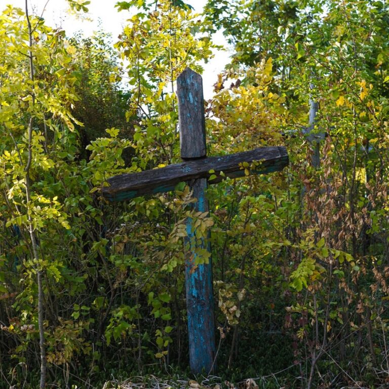 Фото: Юрій Стефаняк.