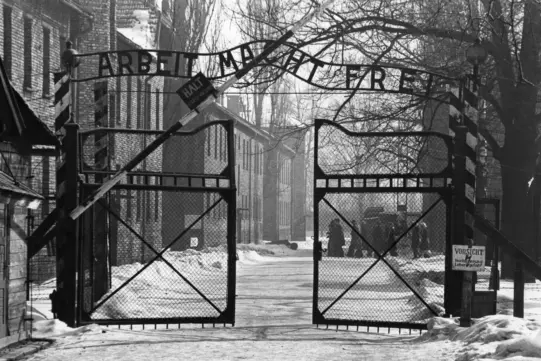 Ukrainian prisoners of Auschwitz