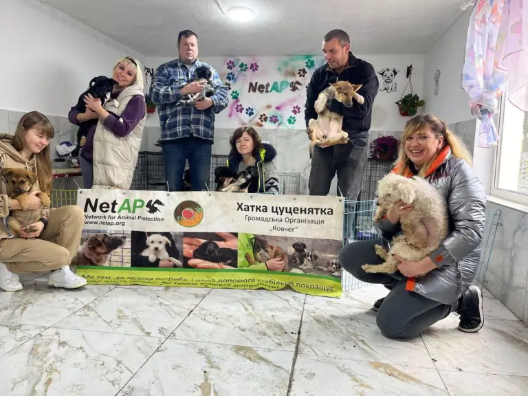 14_Puppy Station Ukraine_Foto_ NetAp 1.webp1x