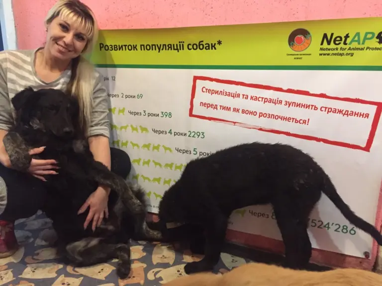 18_NetAP Kastration Prävention Ukraine Dnipro 1.webp1x