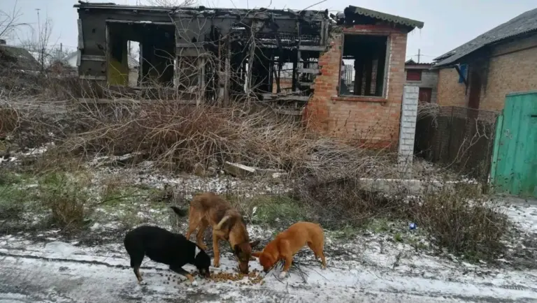 Nikopol UA Beach Area. Foto: NetAP.