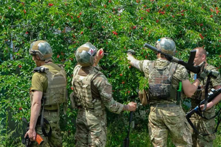 Українські військовослужбовці ласують вишнею. Слатине, Слобожанщина. Червень 2022 року. Спецпроєкт «Деокупація». Фото: Карина Пілюгіна.