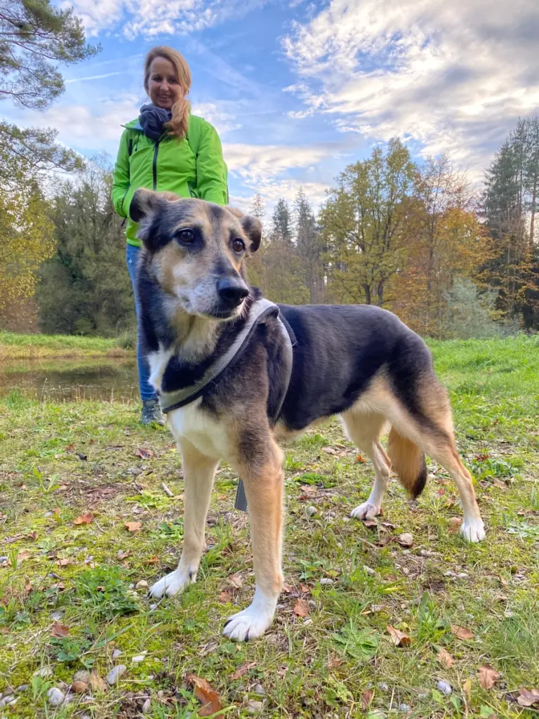Hund Barsa_Foto: NetAP.