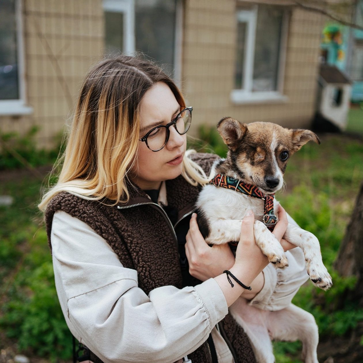 Dogs Adopt Kyiv: від собачого притулку до спільноти