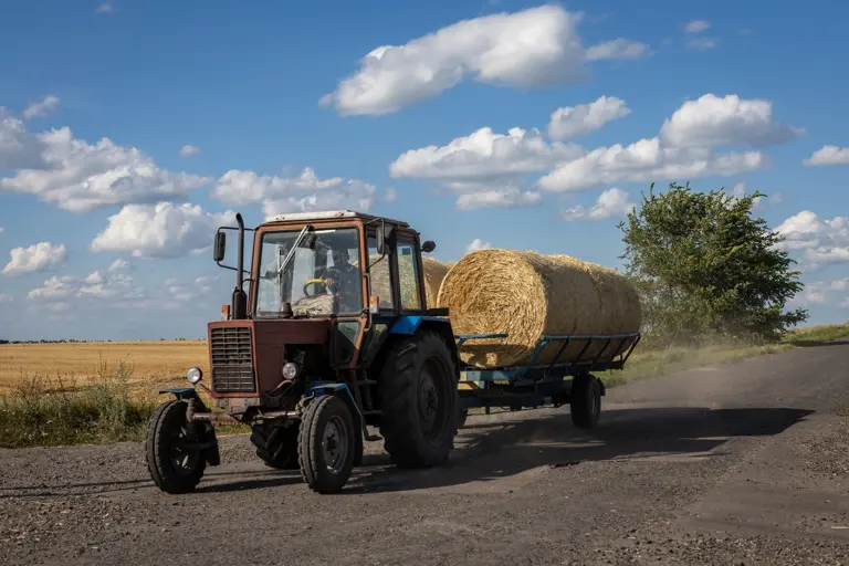 Червоно-синій колісний трактор тягне причіп, завантажений великими круглими тюками сіна, по сільській ґрунтовій дорозі. Фото: Максим Кішка.
