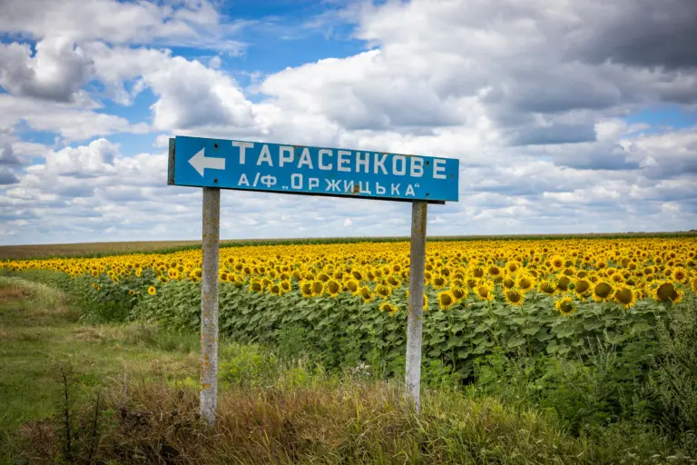 Адресний вказівник до села Тарасенкове поряд із соняшниковим полем. Фото: Максим Кішка.